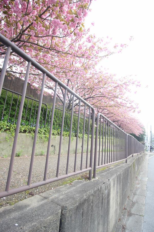 Kiyomori No Baika Quioto Exterior foto